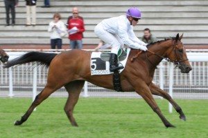 Vorda connaissait déjà la ligne droite de Maisons-Laffitte, elle y avait gagné sur cette image le Prix La Flèche (Listed). Photo APRH