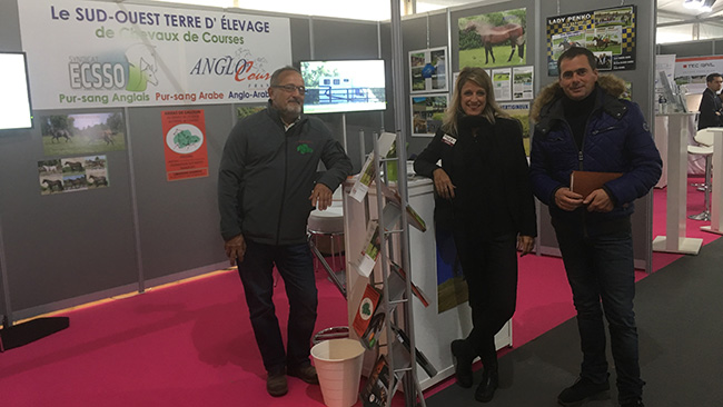 ecsso_galopexpo