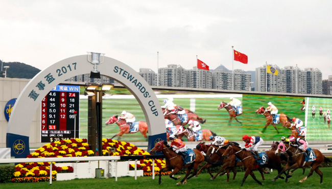 helene_paragon_stewards_cup